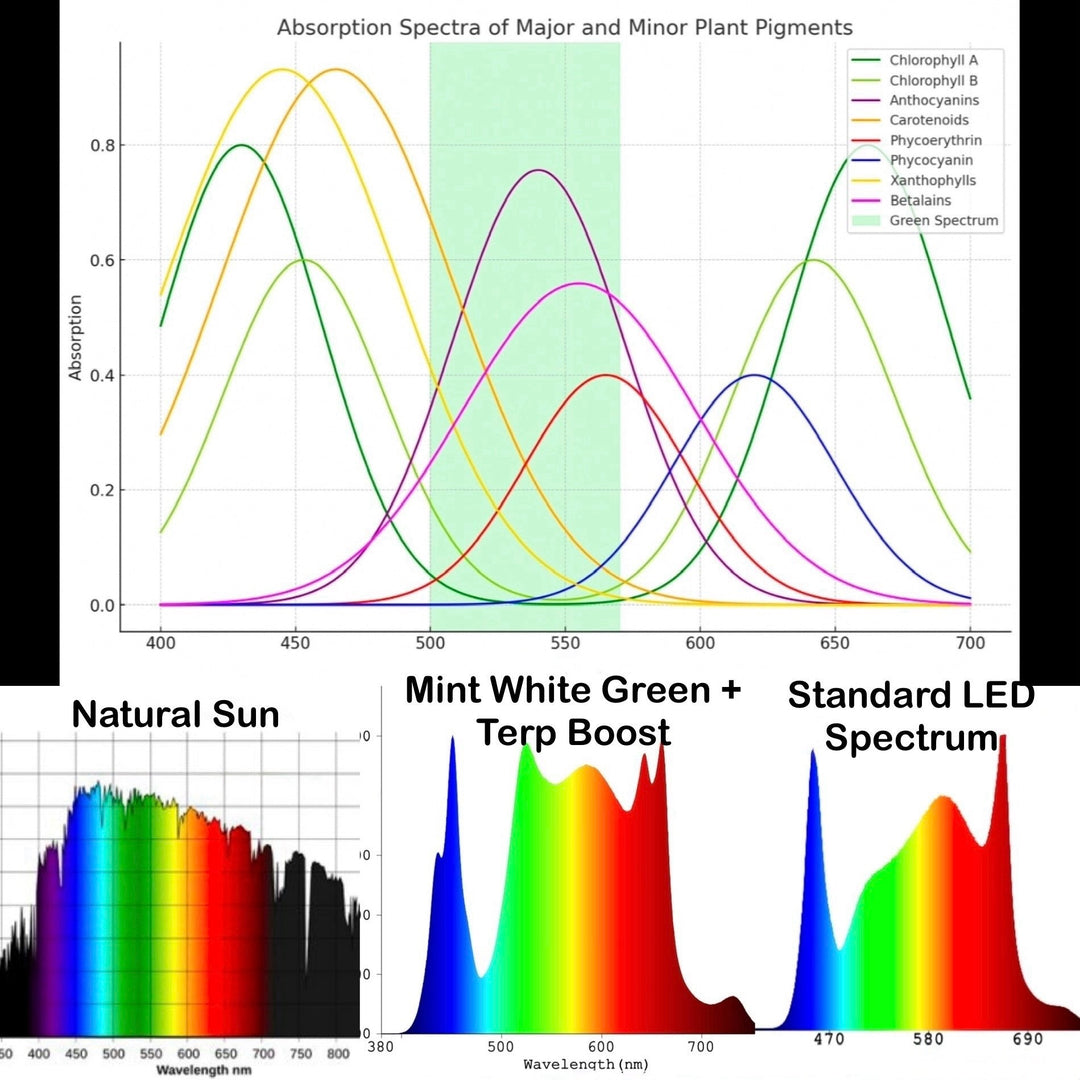 Revolutionizing Indoor Cultivation: The 2025 Mint White Series with Emerald Green + Red Terp Boost