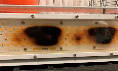 Led Grow Light Failure