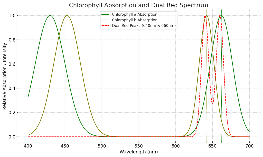 Got Terps?  Why Dual Red Terp Boost at 640nm + 660nm Is Better Than 660nm Alone
