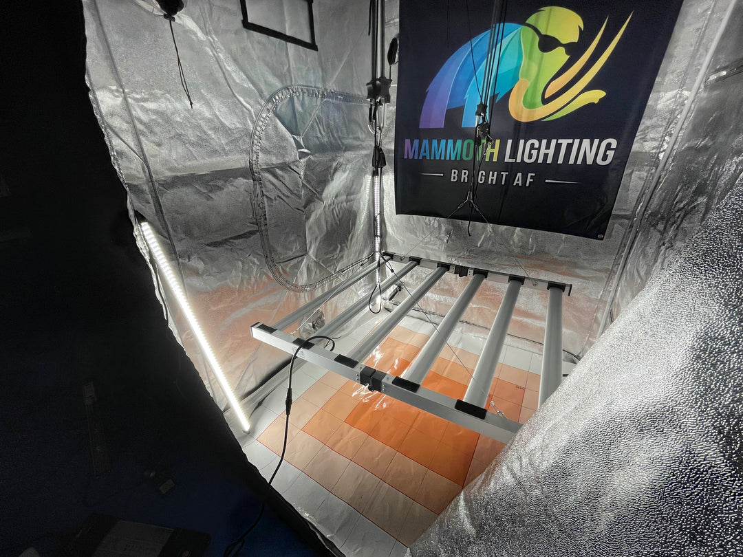 Clone and Inter-canopy LED grow light bar (2 bars per box), 50w each Mammoth Lighting Sunspec Spectrum