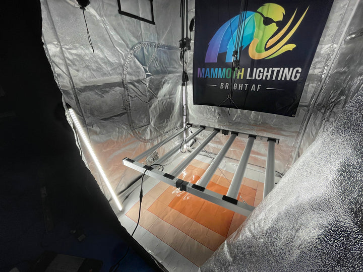 Clone and Inter-canopy LED grow light bar (2 bars per box), 50w each Mammoth Lighting Sunspec Spectrum