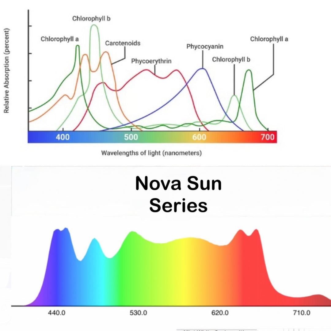 Nova Sun Series Multi-use Bars: Inter-canopy, 2x4 Tents, Side Lighting, Under-canopy, Overhead.