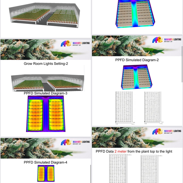 Greenhouse / High-bay top lighting / Single Bar / 3x5 tents: 720w Mammoth Lighting Nova Sun Series with Emerald Green + Red Terp Boost Spectrum