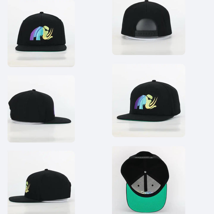 Merch - Hats and T-Shirts and Hoodies.
