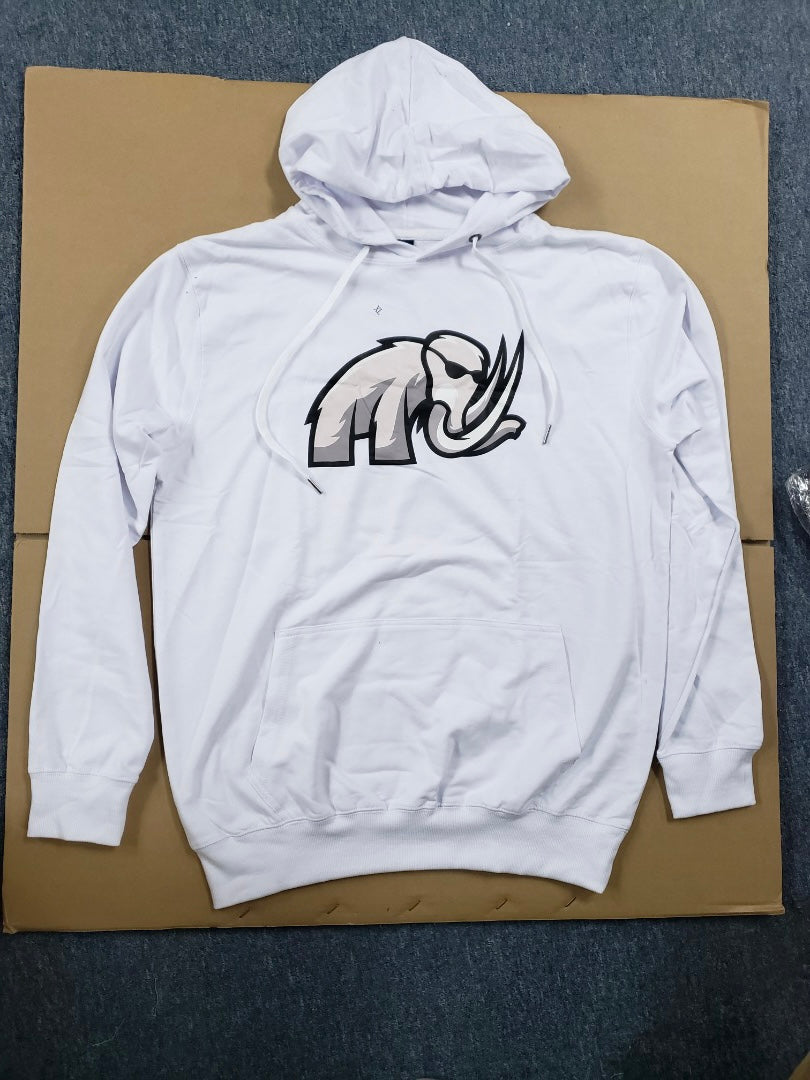 Merch - Hats and T-Shirts and Hoodies.