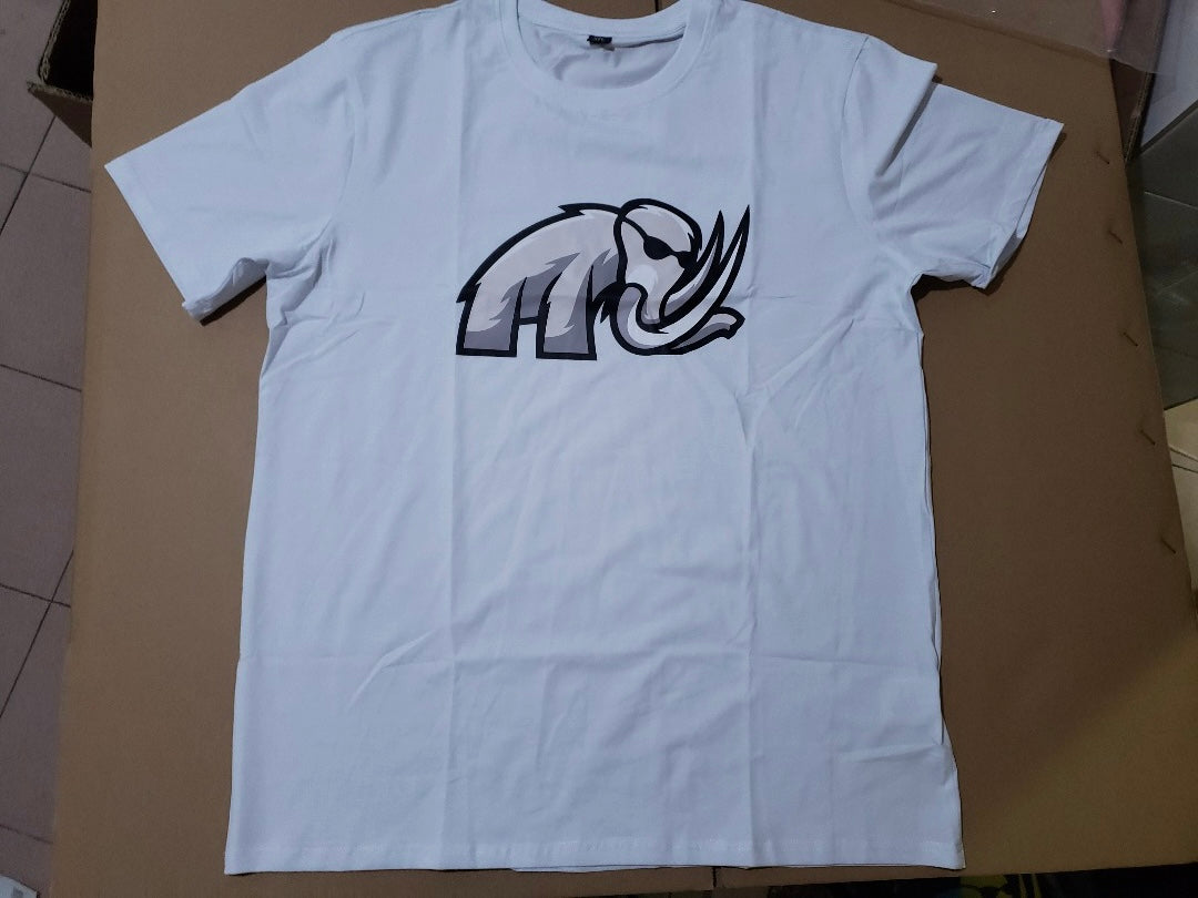 Merch - Hats and T-Shirts and Hoodies.