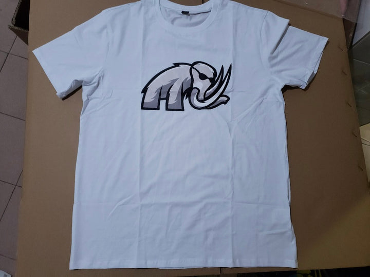 Merch - Hats and T-Shirts and Hoodies.